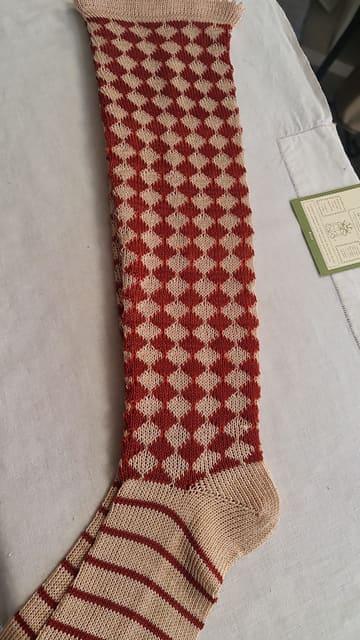 Miniatura 24 · Xulilla · Multicolor